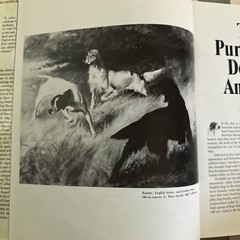 The Akc’s World Of The Purebred Dog Hardcover 1983. 344 Pages