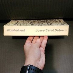 Joyce Carol Oates Wonderland Paperback Book Club Edition 1992, Illustrated