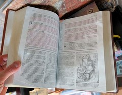 NLT BIBLE LOVER LOT J4: Includes several 1996c. Life Application Study, Journal
