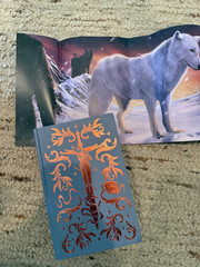 Waterstones Exclusive Dire Bound & Fury Bound Deluxe HC Set Sprayed Edges