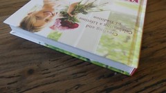 Pretty Fun Kate Hudson Dey St Signed Label 2017 First Edition Book
