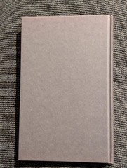 Global Capital, Human Needs & Social Policies (Ian Gough, 2000) *HARDCOVER Rare