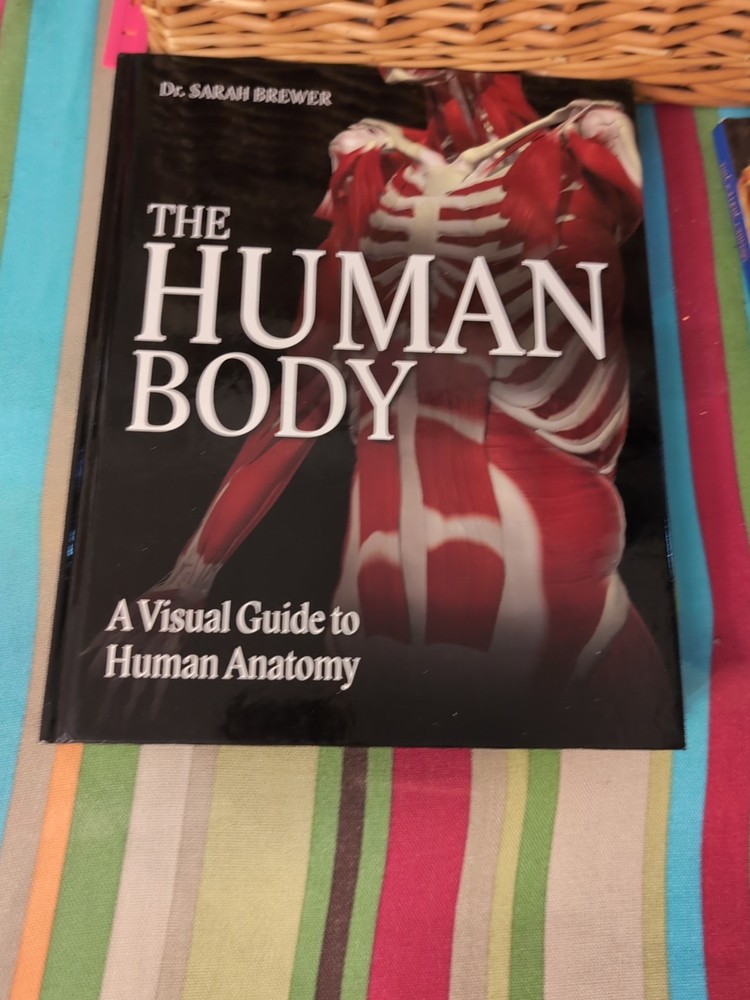 The Human Body: A Visual Guide to Human Anatomy by Dr. Sarah Brewer