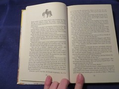 2005 GOLD FEVER Hardcover by ANGELA DORSEY