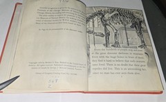 DINOSAURS True First Edition 1954 by Herbert S Zim Hardcover RARE School Library