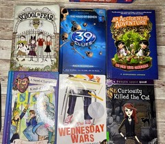 Lot of 28 Grade 3-6 Chapter Books Novels 14lbs / 39 Clues, ECHO , School of Fear