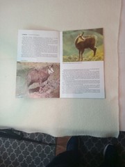 $3.45 – Discover New Zealand, booklet, Wild Animals of New Zealand