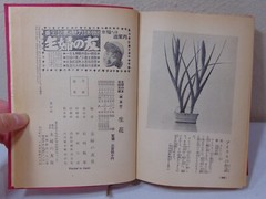 JAPANESE PRINT BOOK MAGAZINE SHUFU NO TOMO JAPAN FLOWER ARANGMENTS RARE VINTAGE