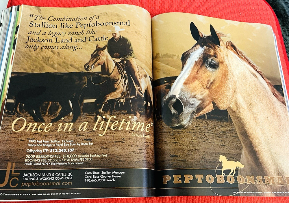 SALE ENDS 6/15! 2008 Quarter Horse Journal STALLION EDITION Book, PEPTOBOONSMAL