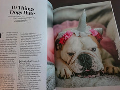 A Dog’s Life-Special Edition Magazine by Paw Print-How They Think, Feel & Thrive