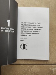 THE SHADOW WORK JOURNAL Guide Integrate & Transcend Your Shadows Self Help Book