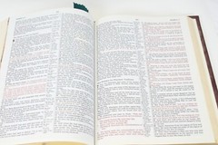 Holy Bible NKJV Red Family Edition Leather1985 Nelson 255BGCE 11.5×8.5×2 Inches