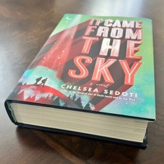 „It Came From The Sky” By Chelsea Sedoti, Hardcover, Brand New, 504 pages.