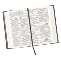 The Holy Bible KJV King James Version LARGE PRINT Hardcover.Jesus Words In Red.