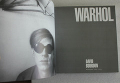 Warhol – David Bourdon 1995 Abrams Books heavy paperback,432 pages, like new