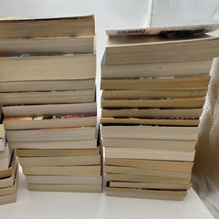 Lot of 56 – J.A. William W. Johnstone Western Books mixed set mountain man
