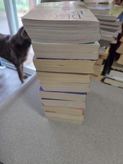 Diana Palmer Lot Of 10 Books Two Are A 2-in-1. Total 12 Stories Romance