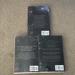 Gods & Monsters Series By Amber V. Nicole 3 Books Collection Set – Fiction – PB