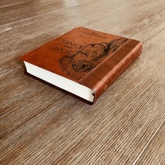 Personalized ESV Journaling Study Bible, Son of a King Design, Name Engraved