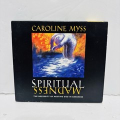 Spiritual Madness: The Necessity of Meeting God in Darkness Audio Book
