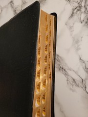 Vintage Holman Holy Bible Black French Morocco Leather Gold Red Letter Regal