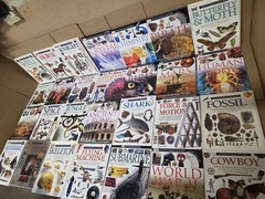 Lot of 10 DK Eyewitness Books Science History Art Animals Homeschool RANDOM Set