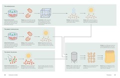 The World Atlas of Coffee 3rd edition: From beans to brewing – coffees…