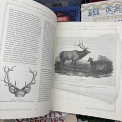 Set of 7 Illustrated Books with Slipcases Arcturus Publishing