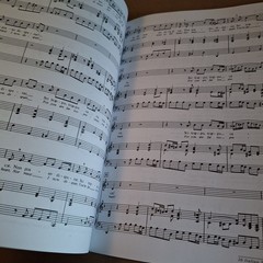 26 Italian Songs and Arias : Medium Low Voice, Book and CD Paperb