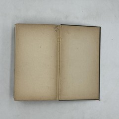 Vintage Field Book Of Wild Birds And Their Music Mathews HC Revised 1921 USA