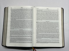 The Holy Bible Knox Version: Baronius Press Ltd (Hardcover)