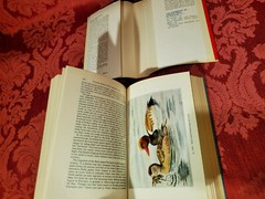 Water-Birds With Webbed Feet, Paul Geroudet, Blandford Press, HC / DJ, 1965 1st