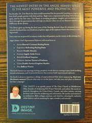 Angel Armies Tim Sheets Destiny Image Supernatural Enforcers Prophetic Book:VG