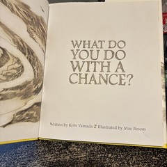 What Do You Do with a Chance by Kobi Yamada (2017, Hardcover)