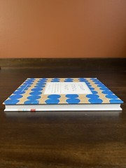Stamp Stencil Paint: Making Extraordinary Patterned Projects by Anna Joyce – ART