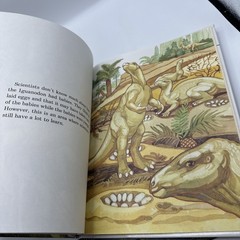 Dinosaur Hardcover Books 1991 Janet Riehecky The Child’s World Series 18 Books