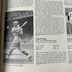 Who’s Who in Baseball History Johnson & Ward Hardcover-DJ-Illustrated-1994 (34)