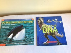 Mixed Lot Of 15 SC Childrens Illustrated Picture Books Teacher Classroom Set