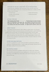 ESV Large Print Value Thinline Bible (Trutone, River Stone, Branch Design): New