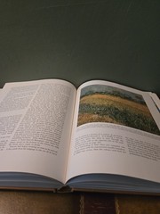 Vincent Van Gogh By Marc Edo Tralbaut 1969 First Edition Hardcover