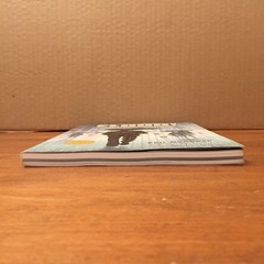 Flood!: A Novel in Pictures by Eric Drooker 2002 Dark Horse Books TPB Good+/VG