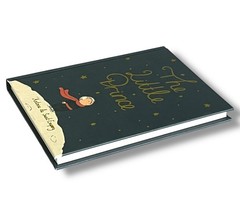 THE LITTLE PRINCE by Antoine Saint-Exupery Collector’s Editions Illustrated Gift