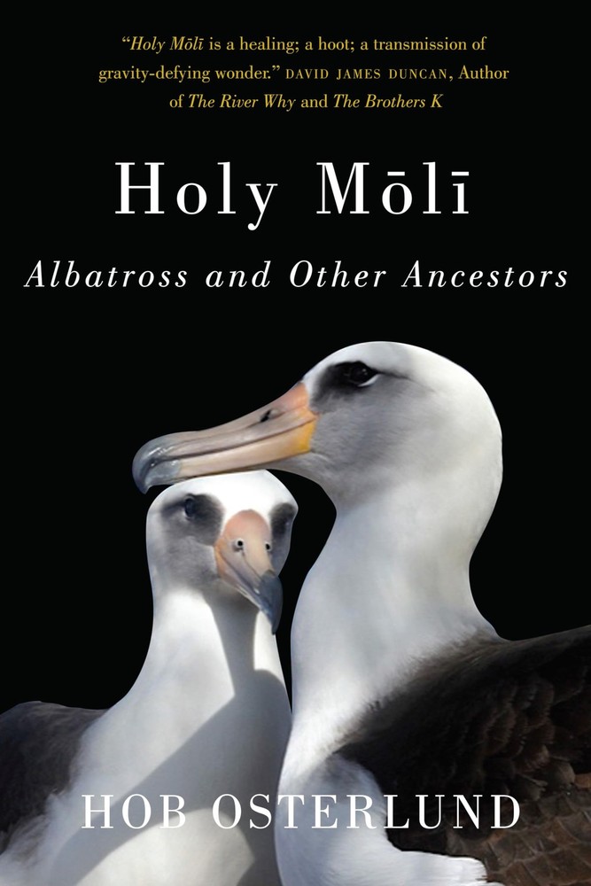 Holy Moli: Albatross and Other Ancestors – paperback Osterlund, Hob