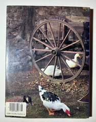 Better Homes and Gardens American Patchwork & Quilting HC 1985 1st