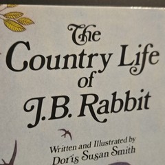 RARE The Country Life of J.B. Rabbit Doris Susan Smith Hardcover 1983 Children