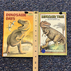 Dinosaur lot 10 book set, Fiction/nonfiction mix, Dino Tyrannosaurus Stegosaurus
