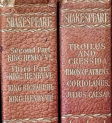 Antique 8‑Volume Shakespeare Works Set Leather‑Bound Gold Embossed 1900s Vintage