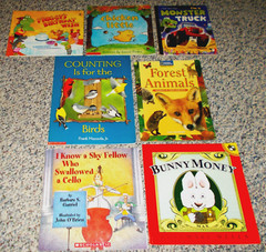 Wonderful Lot of 11 Pre-owned Children’s Books – Mixed Reading Levels (Lot N)