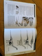 Princeton Field Guides: The Princeton Field Guide to Dinosaurs : Second Edition