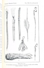Basket-Maker Caves of Northeastern Arizona by S.J. Guernsey and A.V. Kidder